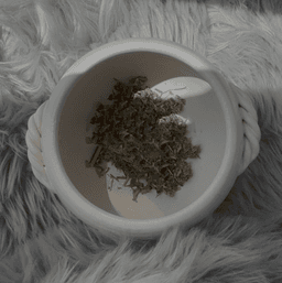 おかま直伝よもぎ蒸し